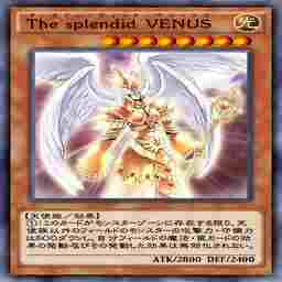 The splendid VENUS
